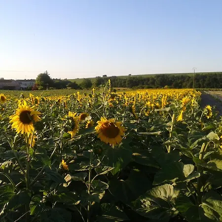 Апартаменты Le Rosier